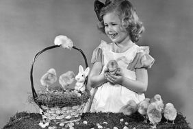 little girl with easter basket full of baby chickens