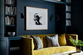 floor to ceiling navy blue wall shelving book case with yellow couch