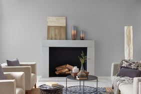 behr paint neutral flannel gray in living room