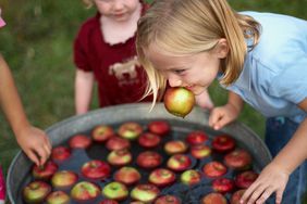kids bobbing for apples outdoors
