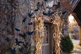 murder of crows above door frame