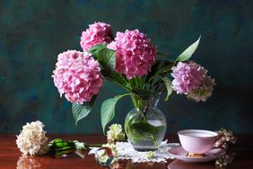 fresh-cut hydrangeas in vase 