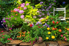flower garden with perennials and annuals