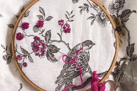 embroidery-bird-in-hoop-detail-2-093-d111671.jpg
