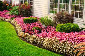 colorful flower beds in front of home