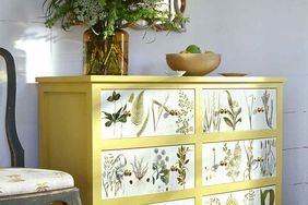 yellow dresser with botanical pressings