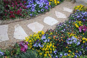 gravel garden with petunias and pansies