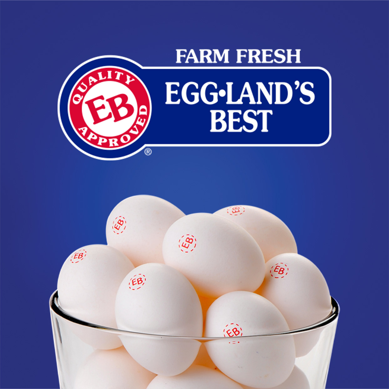 Egglands Best Sweepstakes