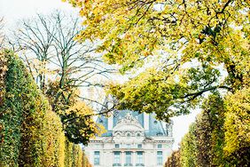 katie-mitchell-photography-where-to-propose-in-paris-jardin-des-tuileries-0815.jpg