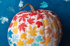 white pumpkin with painted leaves in red yellow light and dark blue