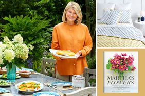 Composite of Martha and spring entertaining products