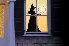 Martha Stewart Vinyl Witch Window Décor