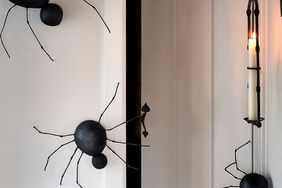 night crawlers spider wall decor