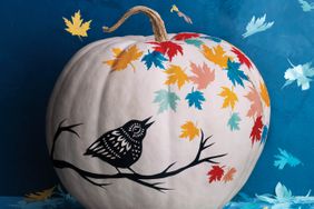 pumpkin with leaf and bird stencil
