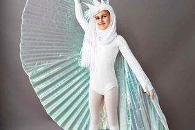 pegasus unicorn costume
