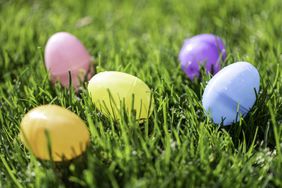plastic easter eggs in grass