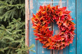 Autumn preserved colorful maple leaves wreath on the blue rustic door